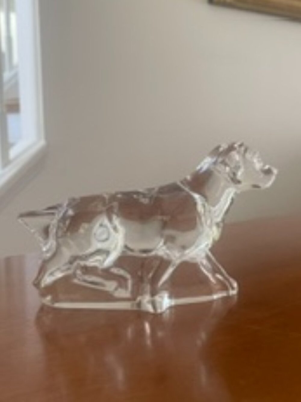 Baccarat Labrador Retriever
